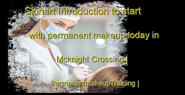 Skinart Introduction to start with permanent makeup today in Mcknight Crossing | PermanentmakeupTraining | PermanentmakeupClasses | SkinartTraining-United States